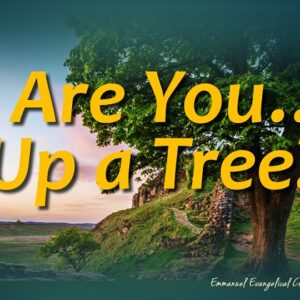 “Are You…”Up a Tree?”