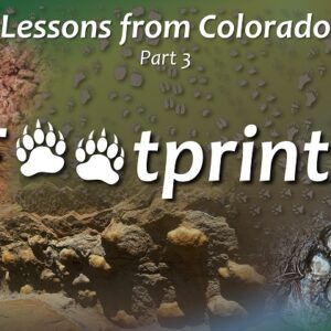 Series “Lessons from Colorado” – Part 3                                                   “Footprints”